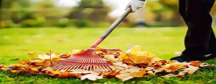 Clean and Remove Debris Regularly