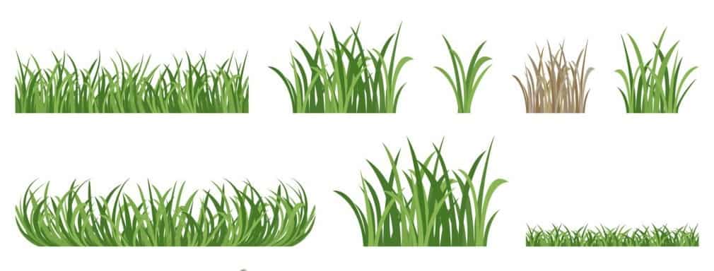 Keep your Grass High and Dry