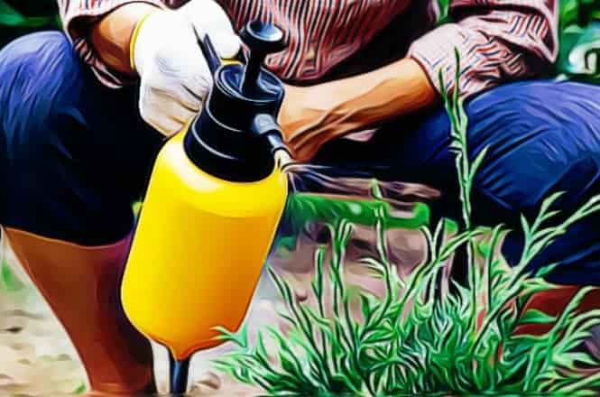 Natural Pest Control and Herbicides