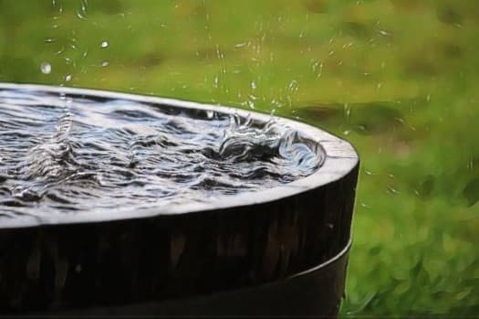 Rainwater Harvesting
